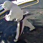 Suspect Image